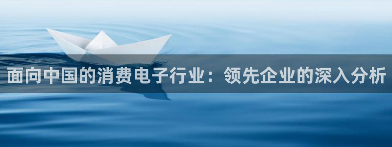 凯发国际网站官网首页|面向中国的消费电子行业：领先企业的深入分析